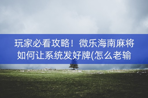 玩家必看攻略！微乐海南麻将如何让系统发好牌(怎么老输必备神器)