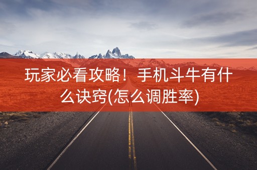 玩家必看攻略！手机斗牛有什么诀窍(怎么调胜率)