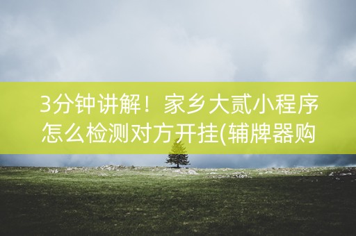 3分钟讲解！家乡大贰小程序怎么检测对方开挂(辅牌器购买)