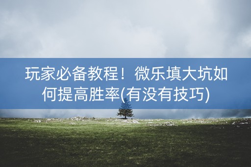 玩家必备教程！微乐填大坑如何提高胜率(有没有技巧)