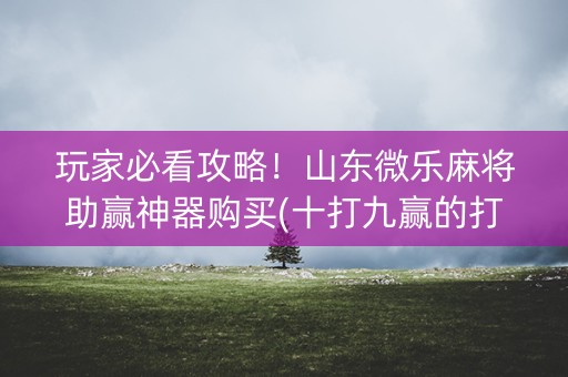 玩家必看攻略！山东微乐麻将助赢神器购买(十打九赢的打法)