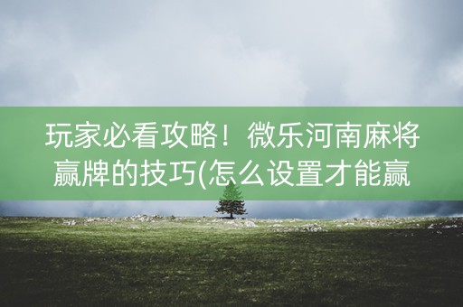 玩家必看攻略！微乐河南麻将赢牌的技巧(怎么设置才能赢)