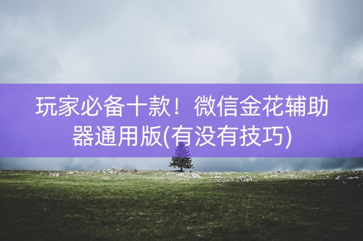 玩家必备十款！微信金花辅助器通用版(有没有技巧)