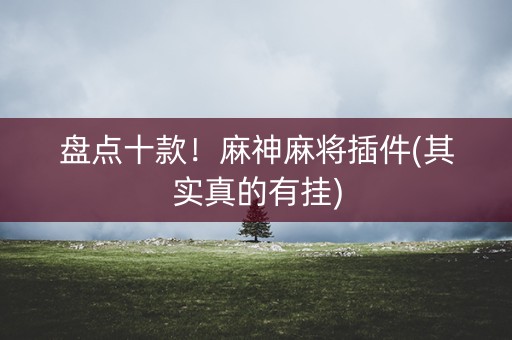 盘点十款！麻神麻将插件(其实真的有挂)