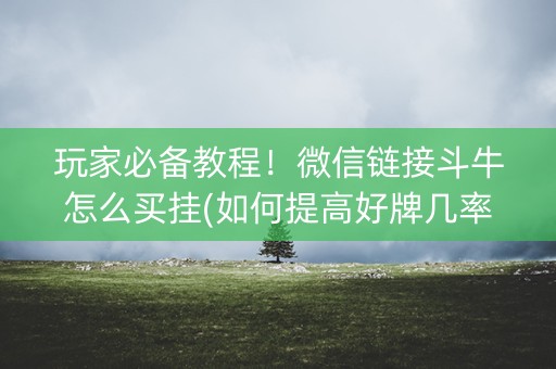 玩家必备教程！微信链接斗牛怎么买挂(如何提高好牌几率)