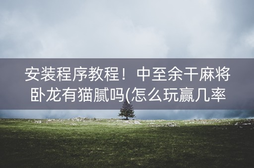 安装程序教程！中至余干麻将卧龙有猫腻吗(怎么玩赢几率大)