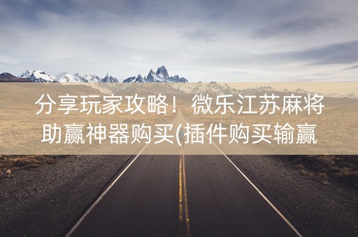 分享玩家攻略！微乐江苏麻将助赢神器购买(插件购买输赢规律)