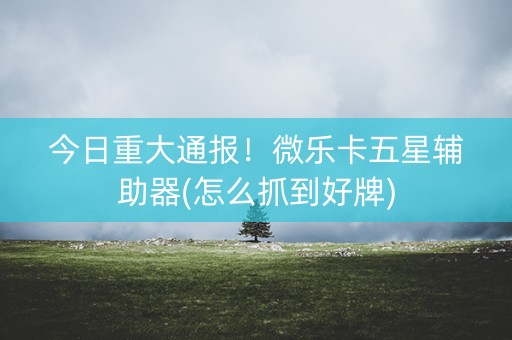 今日重大通报！微乐卡五星辅助器(怎么抓到好牌)