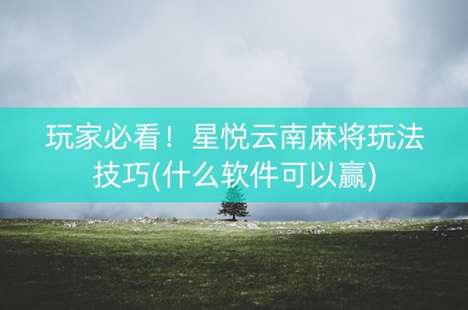 玩家必看！星悦云南麻将玩法技巧(什么软件可以赢)