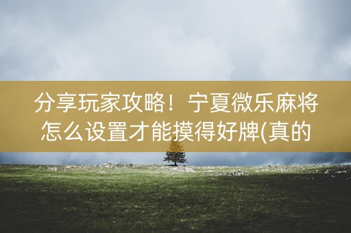 分享玩家攻略！宁夏微乐麻将怎么设置才能摸得好牌(真的确实是有挂)