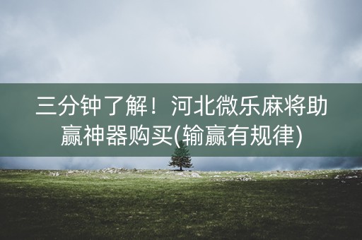 三分钟了解！河北微乐麻将助赢神器购买(输赢有规律)