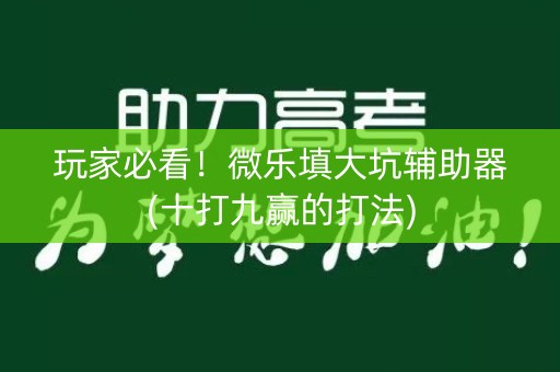 玩家必看！微乐填大坑辅助器(十打九赢的打法)