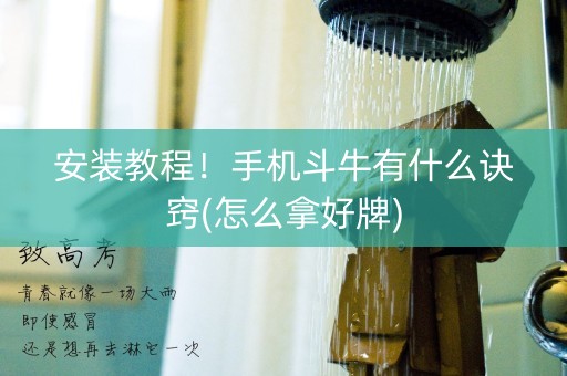 安装教程！手机斗牛有什么诀窍(怎么拿好牌)