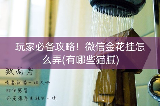 玩家必备攻略！微信金花挂怎么弄(有哪些猫腻)