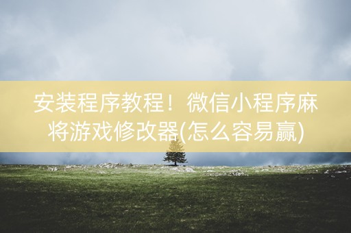 安装程序教程！微信小程序麻将游戏修改器(怎么容易赢)