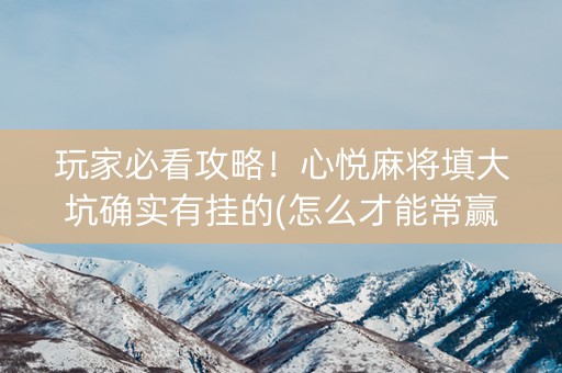 玩家必看攻略！心悦麻将填大坑确实有挂的(怎么才能常赢)