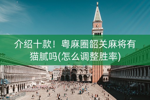 介绍十款！粤麻圈韶关麻将有猫腻吗(怎么调整胜率)