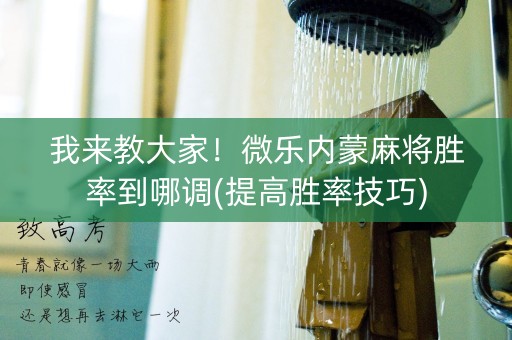 我来教大家！微乐内蒙麻将胜率到哪调(提高胜率技巧)