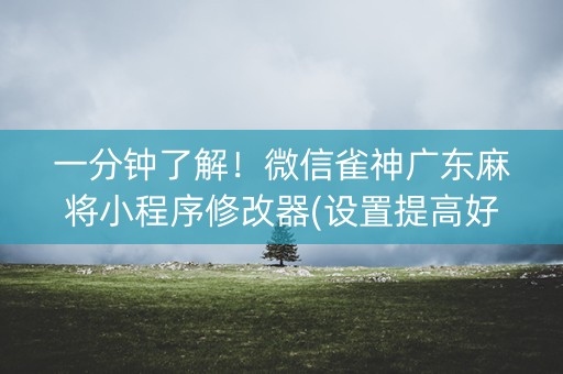 一分钟了解！微信雀神广东麻将小程序修改器(设置提高好牌几率)