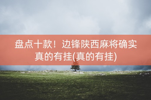 盘点十款！边锋陕西麻将确实真的有挂(真的有挂)