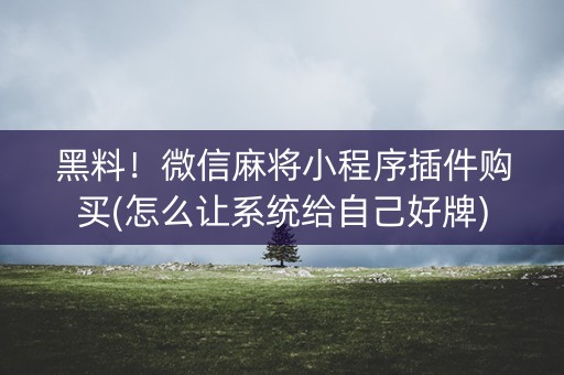 黑料！微信麻将小程序插件购买(怎么让系统给自己好牌)