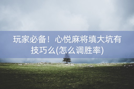 玩家必备！心悦麻将填大坑有技巧么(怎么调胜率)