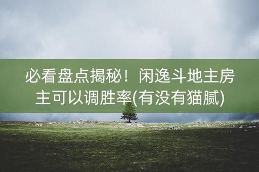 必看盘点揭秘！闲逸斗地主房主可以调胜率(有没有猫腻)