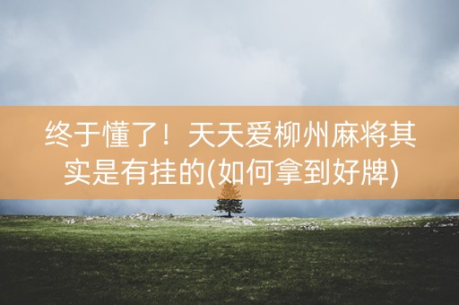 终于懂了！天天爱柳州麻将其实是有挂的(如何拿到好牌)