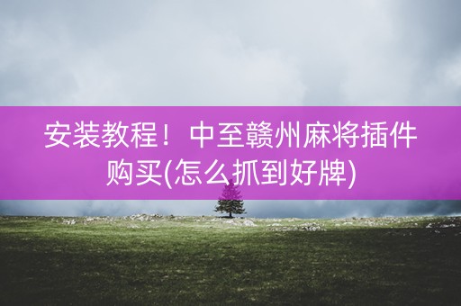 安装教程！中至赣州麻将插件购买(怎么抓到好牌)