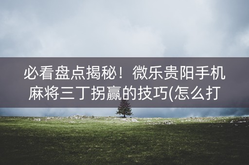 必看盘点揭秘！微乐贵阳手机麻将三丁拐赢的技巧(怎么打才会赢)