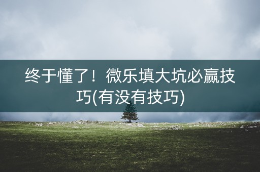 终于懂了！微乐填大坑必赢技巧(有没有技巧)
