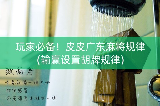 玩家必备！皮皮广东麻将规律(输赢设置胡牌规律)