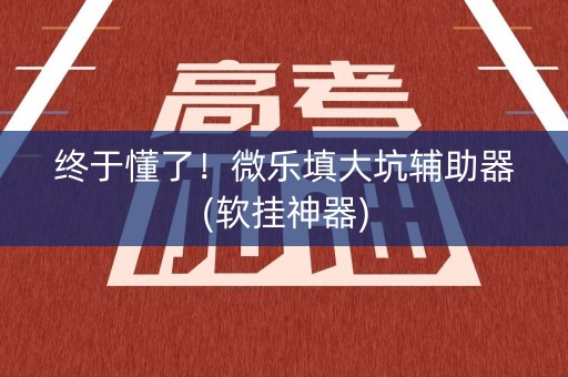终于懂了！微乐填大坑辅助器(软挂神器)