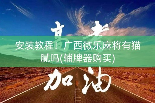 安装教程！广西微乐麻将有猫腻吗(辅牌器购买)