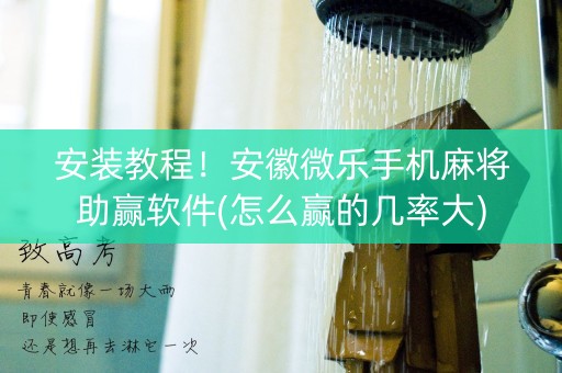 安装教程！安徽微乐手机麻将助赢软件(怎么赢的几率大)