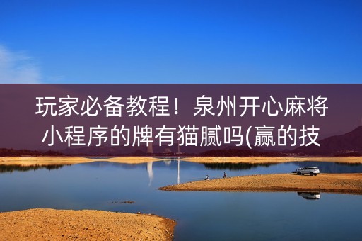 玩家必备教程！泉州开心麻将小程序的牌有猫腻吗(赢的技巧提高胜率)