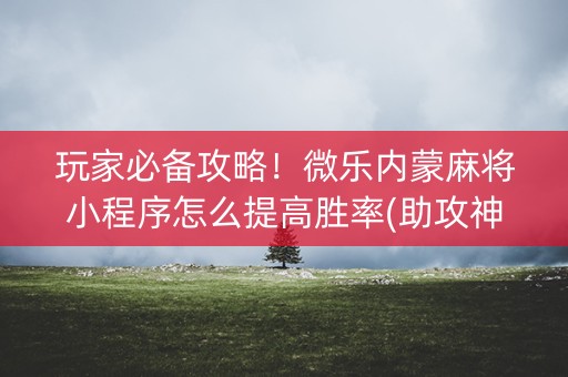 玩家必备攻略！微乐内蒙麻将小程序怎么提高胜率(助攻神器怎么才会赢)