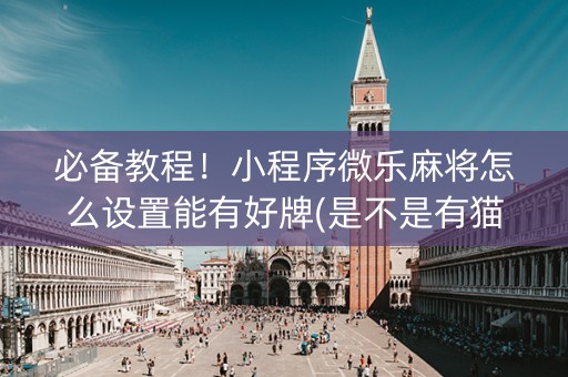 必备教程！小程序微乐麻将怎么设置能有好牌(是不是有猫腻)