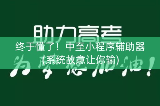 终于懂了！中至小程序辅助器(系统故意让你输)