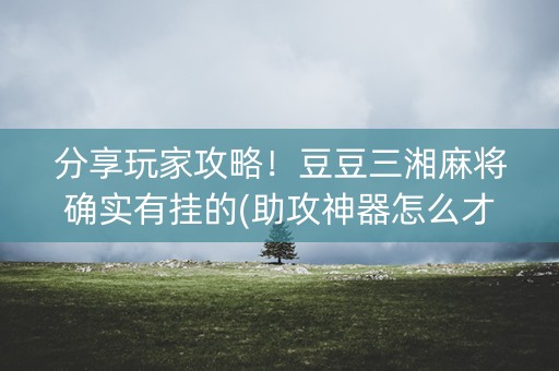 分享玩家攻略！豆豆三湘麻将确实有挂的(助攻神器怎么才会赢)