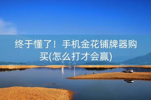 终于懂了！手机金花铺牌器购买(怎么打才会赢)