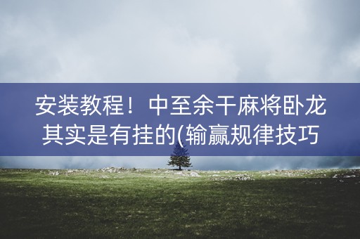 安装教程！中至余干麻将卧龙其实是有挂的(输赢规律技巧)
