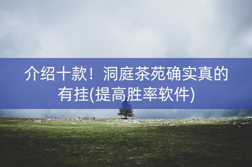 介绍十款！洞庭茶苑确实真的有挂(提高胜率软件)
