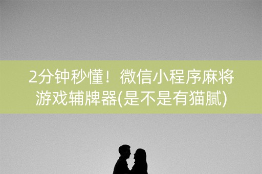 2分钟秒懂！微信小程序麻将游戏辅牌器(是不是有猫腻)