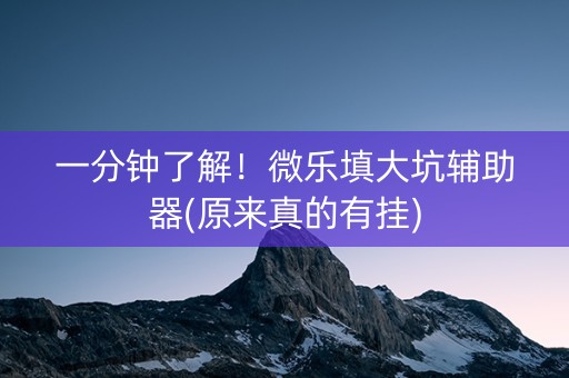一分钟了解！微乐填大坑辅助器(原来真的有挂)