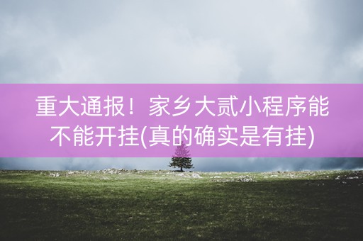 重大通报！家乡大贰小程序能不能开挂(真的确实是有挂)