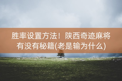 胜率设置方法！陕西奇迹麻将有没有秘籍(老是输为什么)