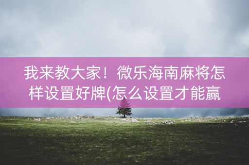 我来教大家！微乐海南麻将怎样设置好牌(怎么设置才能赢)