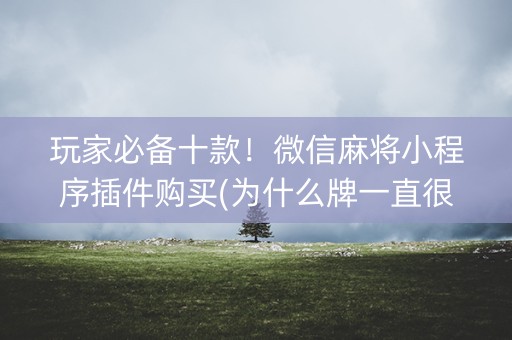 玩家必备十款！微信麻将小程序插件购买(为什么牌一直很差)
