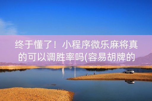 终于懂了！小程序微乐麻将真的可以调胜率吗(容易胡牌的技巧)